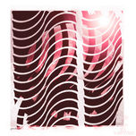 Decoración minimalista thumbnail 1