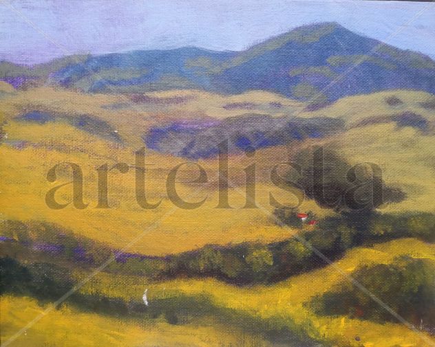 Cañas