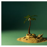 still life thumbnail 1