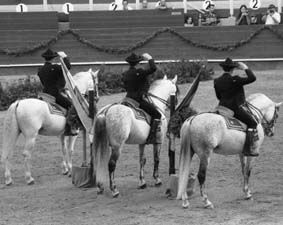 CABALLOS ANDALUCES 9