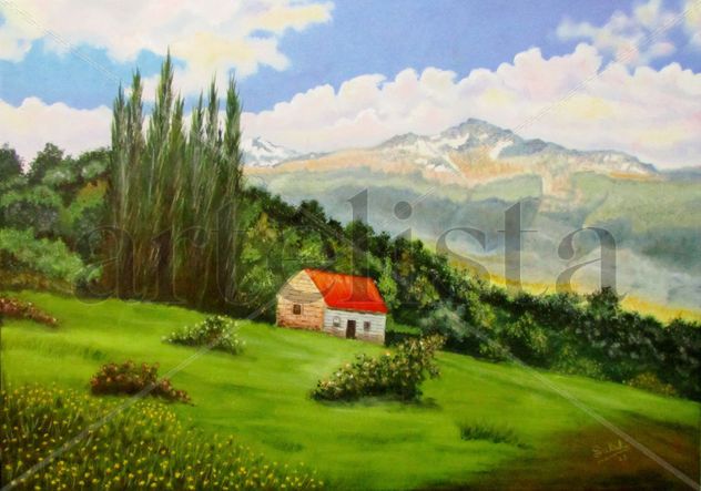 Campo en Aysén. Paisaje Chileno..