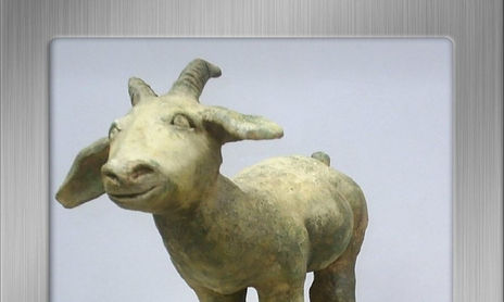 animales