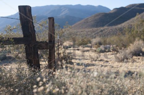 The wild west