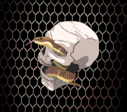 Calavera y serpiente