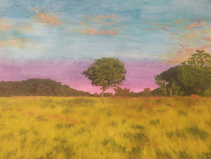 Árbol Joven