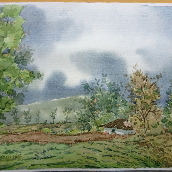 DESPUÉS DE LA LLUVIA Watercolour Paper Landscaping