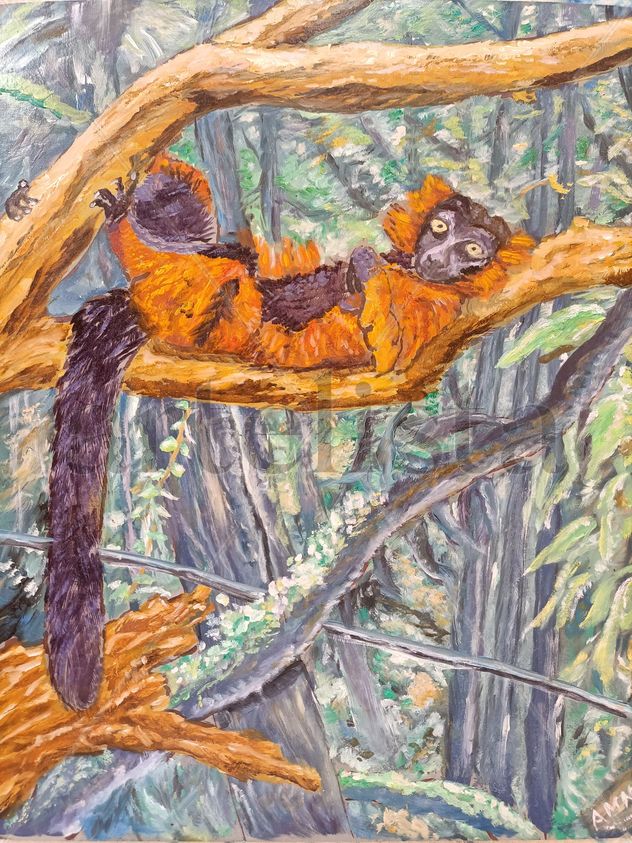 Lemur Rojo