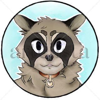 Adoptar Sympathetic and Cutie Raccoon 