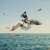 Ataque de gaviotas