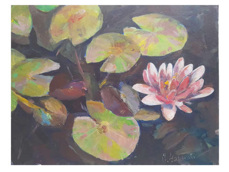 Lotus