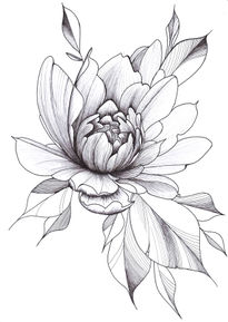 Peony