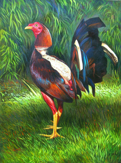 GALLO DE PELEA , Oil Canvas Animals