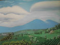 Paisaje cafetero