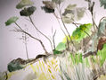 Paisaje