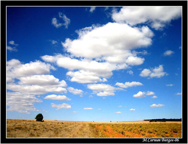 Cielo manchego Nature Color (Digital)