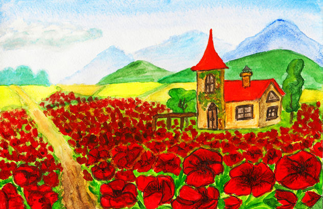 House on meadow with red poppies