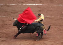 Paco Ureña torero