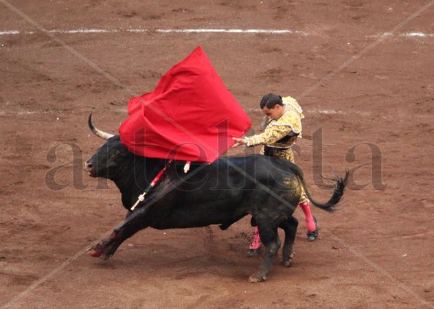 Paco Ureña torero