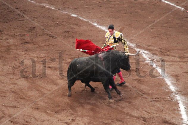 Alejandro Talavante torero