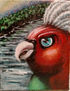 Angry bird