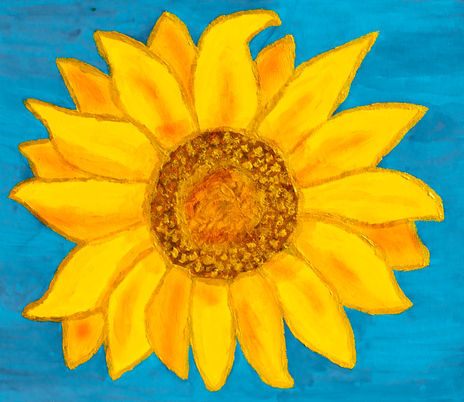 Sunfllower on blue