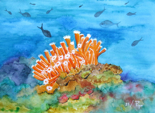 dendrophyllia ramea