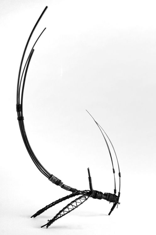 celula