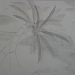 E.L.F thumbnail 2
