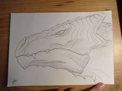 Draco