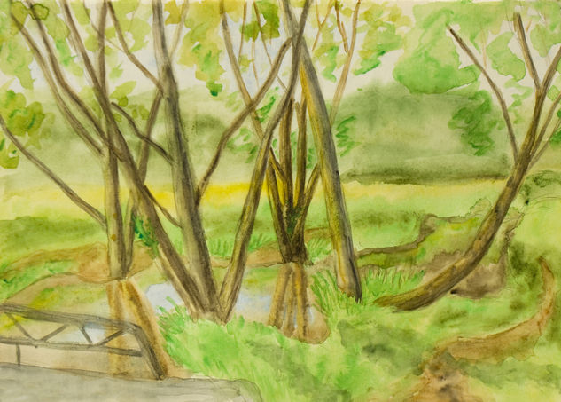 Trees and little river Watercolour Paper Landscaping