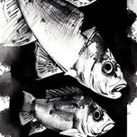 Propietario thumbnail 2