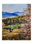 "JAÉN EN PRIMAVERA "