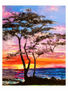 "ATARDECER ISLEÑO "