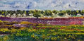 "Primavera de Olivares  en Jaén "