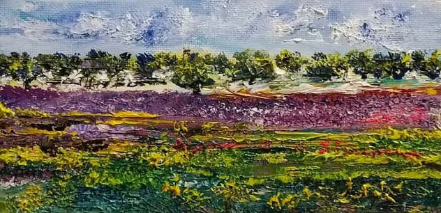 "Primavera de Olivares  en Jaén "