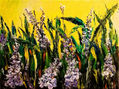 "LILAS SILVESTRES "