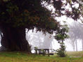 Mesa en la montaña.