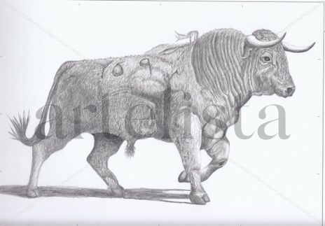 Toro