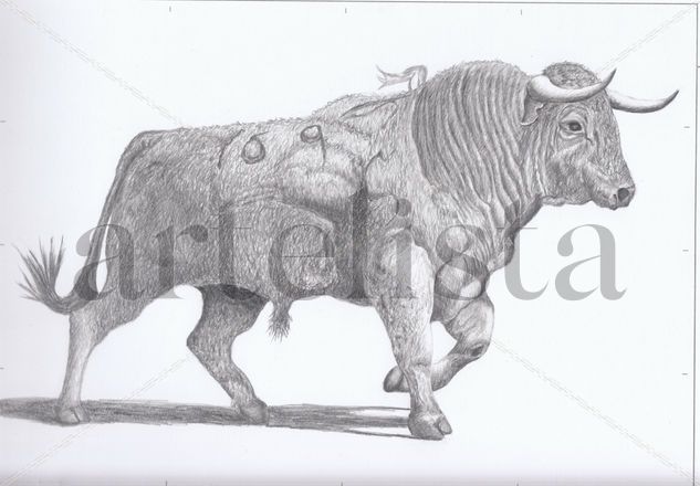 Toro Graphite