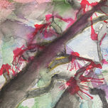 Abstracción en el bosque thumbnail 2