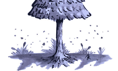 Tinta