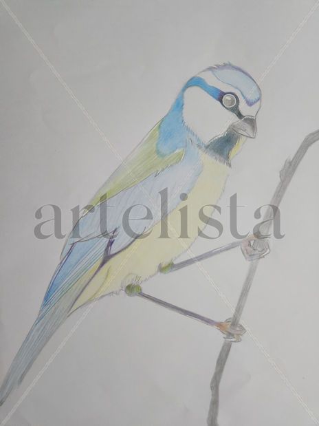 Herrerillo