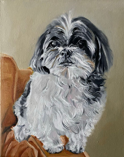 Perrito en sofá Oil Canvas Animals