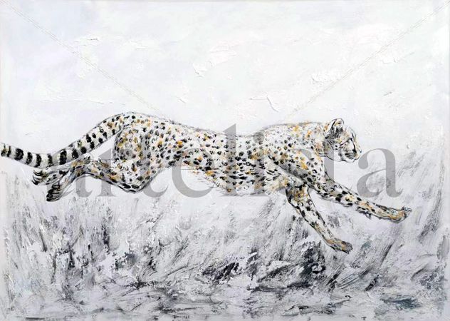 Cheetah 021