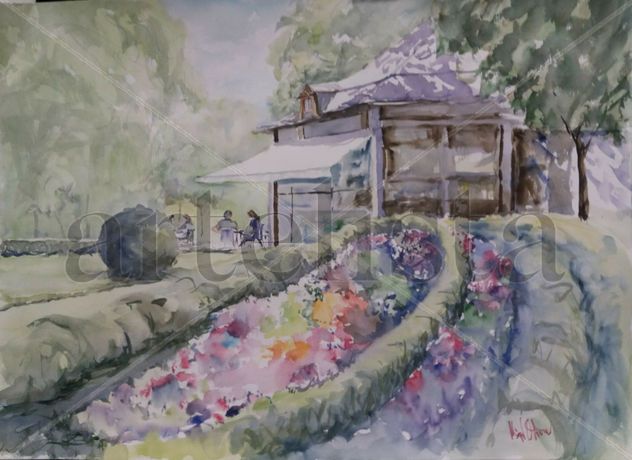 Naturaleza 10