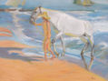 playa sorolla