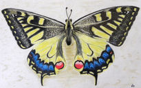 Mariposa