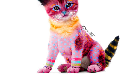 Alebrijes reales