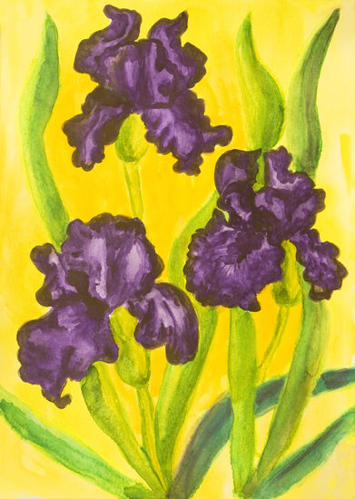 Three violet irises Watercolour Paper Floral Painting