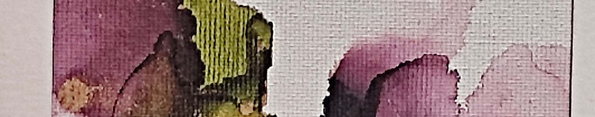 Imagen de portada
